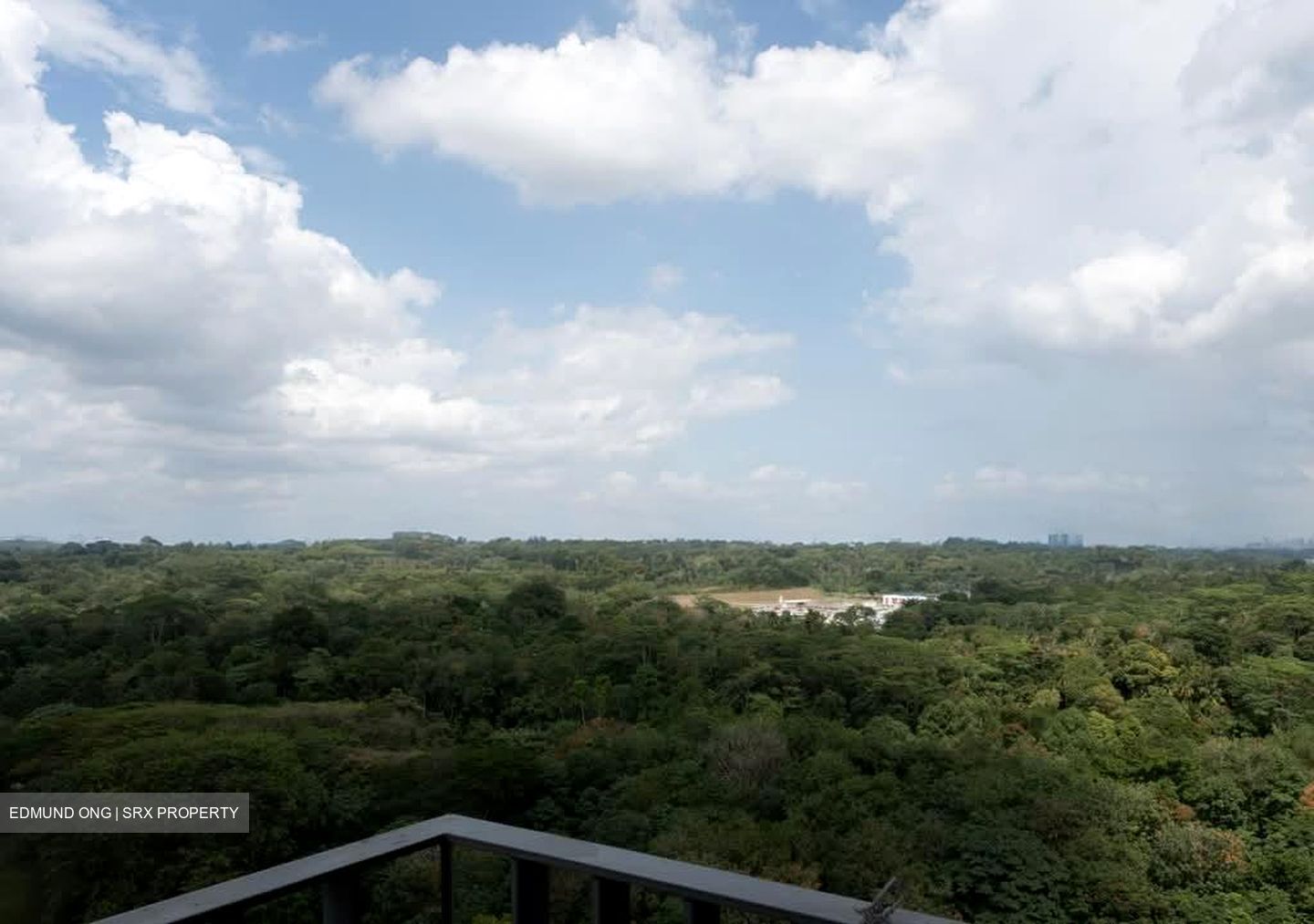 Foresque Residences (D23), Condominium #577969101